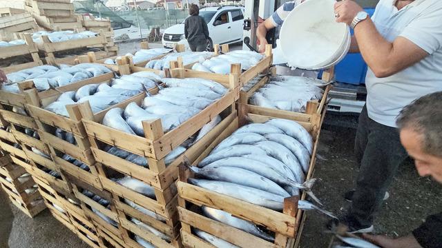 Kasa kasa d&ouml;n&uuml;yorlar: Tanesi 40 TL'ye d&uuml;şt&uuml;! Uzun kuyruk oldu