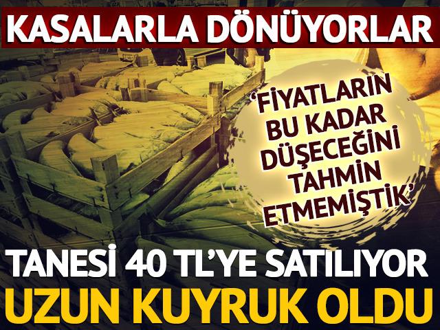 Kasa kasa d&ouml;n&uuml;yorlar: Tanesi 40 TL'ye d&uuml;şt&uuml;! Uzun kuyruk oldu