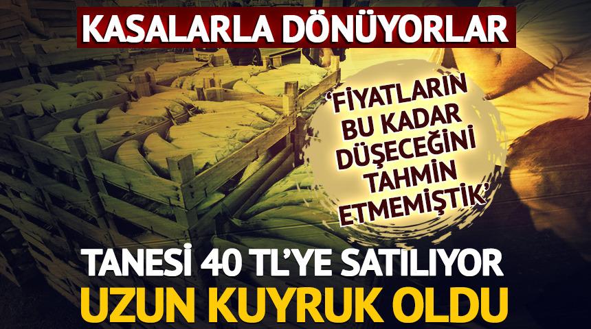Kasa kasa d&ouml;n&uuml;yorlar: Tanesi 40 TL'ye d&uuml;şt&uuml;! Uzun kuyruk oldu
