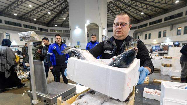 Balık halinde ilk ayda işlem hacmi 9 bin tonu aştı