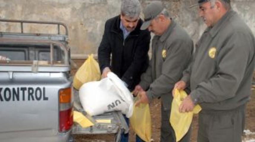 Kınalı keklikler a&ccedil; kalmasın diye dağlara yem bırakıldı