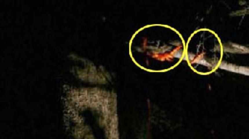 Aynı kızı seven iki gen&ccedil; &ouml;l&uuml;me birlikte gitti