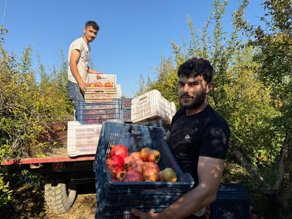  Bu işle ev sahibi oldum  Hayatını ona adadı, şehir şehir &ccedil;alıştı 2