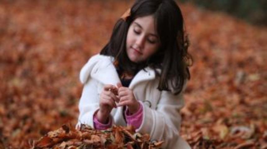 Ağa&ccedil;ların sarı ve kahverengi tonları doğaya ayrı bir g&uuml;zellik kattı