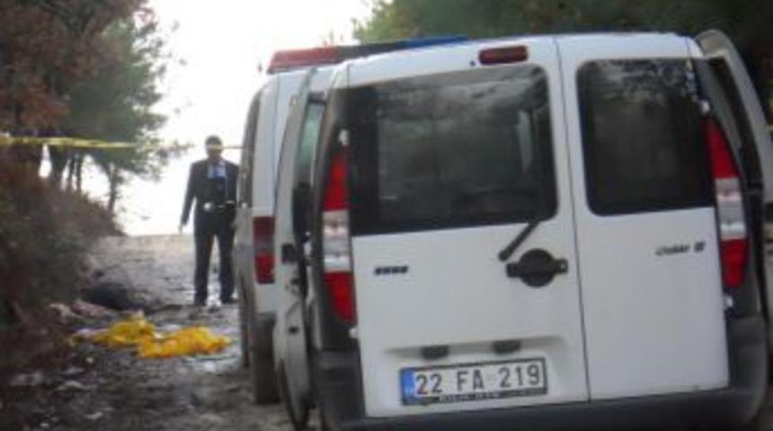 At arabacısı ormanlık alanda &ouml;l&uuml; bulundu