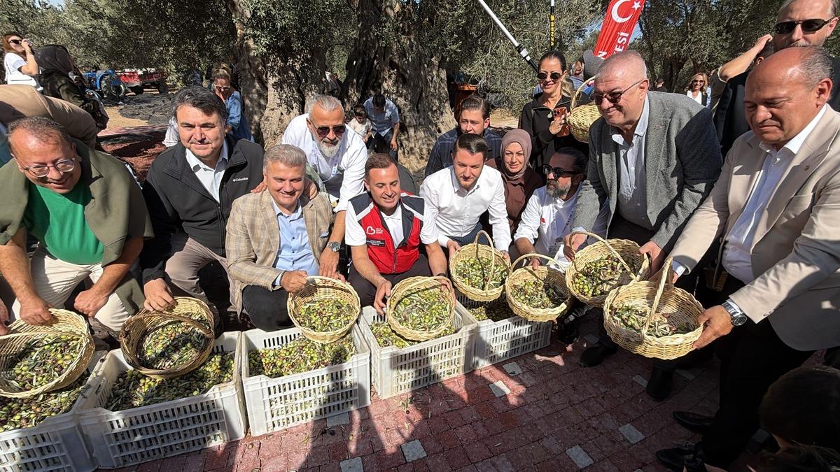 1000 yıllık ağaçtan elde edildi: Şifalı yağ için 16 bin kişi akın etti! 3