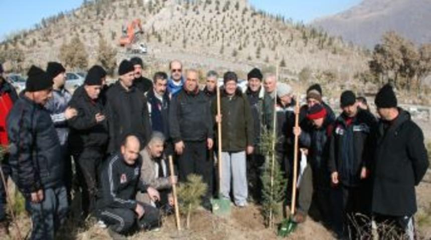 Boydak Ormanı'na 3 yılda 240 bin fidan dikildi