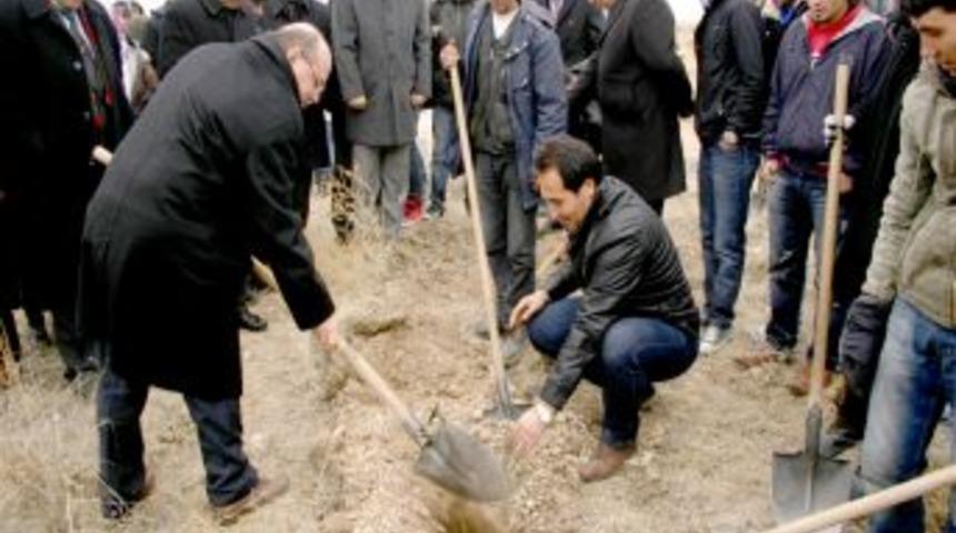 Iğdır'da 5 bin ocak badem tohumu toprakla buluştu