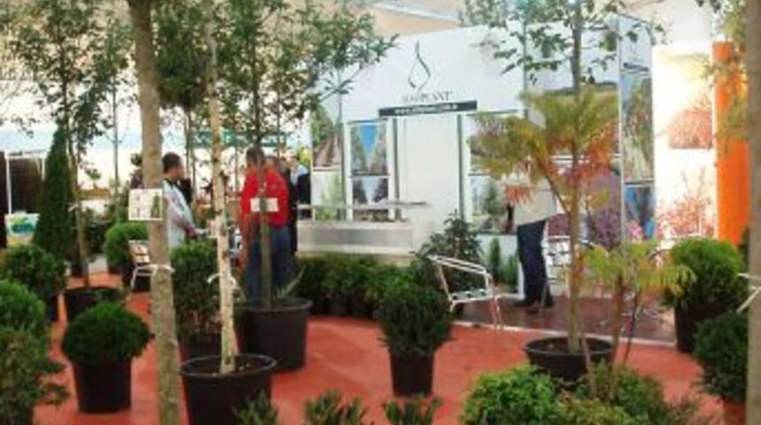 S&uuml;s bitkisi sekt&ouml;r&uuml;, 300 bin kişiye dolaylı istihdam sağlıyor