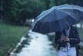Meteoroloji il il a��klad�: Sa�anak ve sis kap�da!