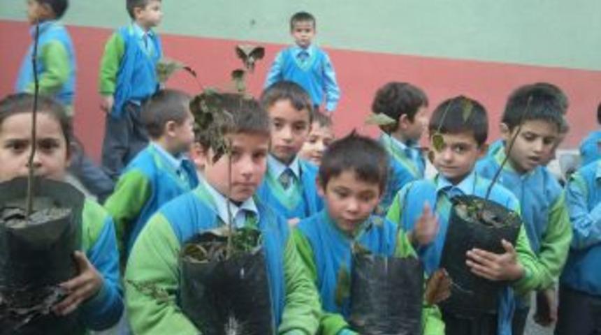 Büyütülen fidanlar kardeş okul bahçesine dikilecek