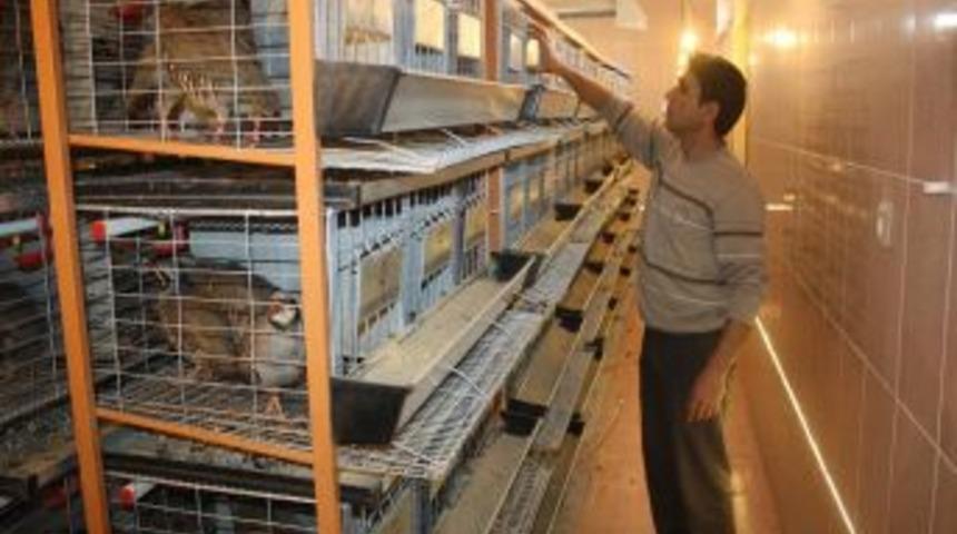 Keklik &uuml;retim istasyonu hedefini y&uuml;zde 50 aştı