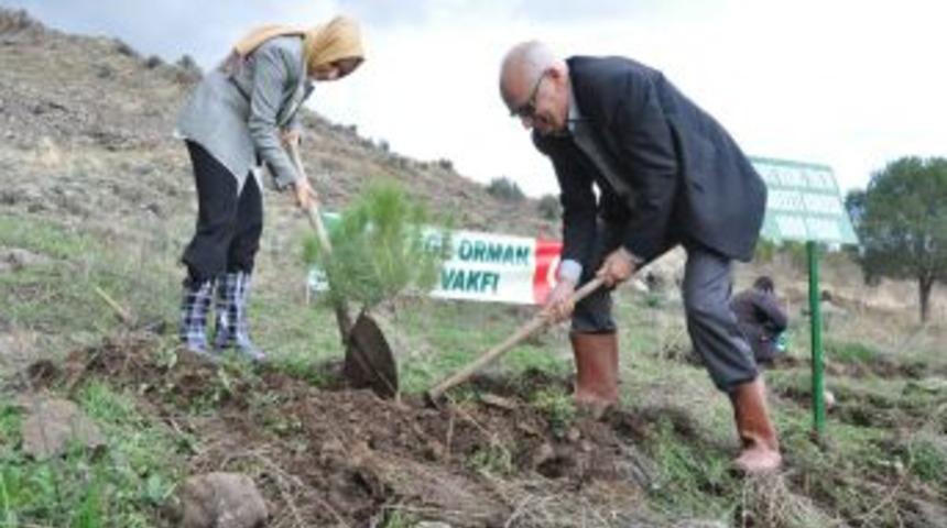 Starpet&rsquo;ten İzmir dostluk ormanına ve &ccedil;evreye katkı