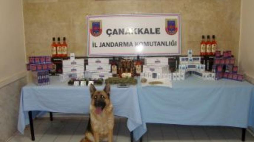 &Ccedil;anakkale&rsquo;de ka&ccedil;ak&ccedil;ılık operasyonu