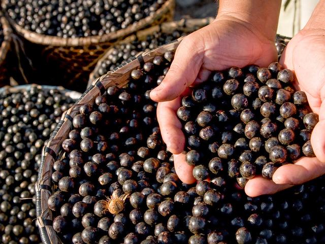 Vitamin deposu 7 süper meyve! Faydaları saymakla bitmiyor