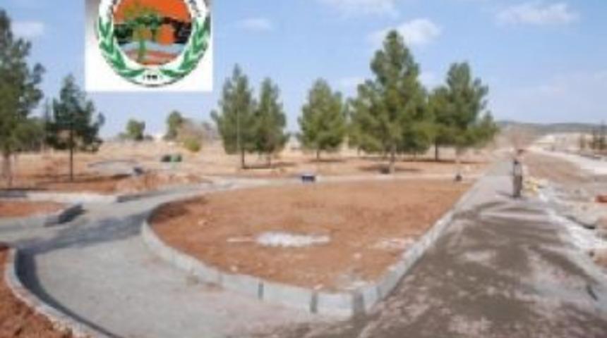 Karak&ouml;pr&uuml; yemyeşil olacak...