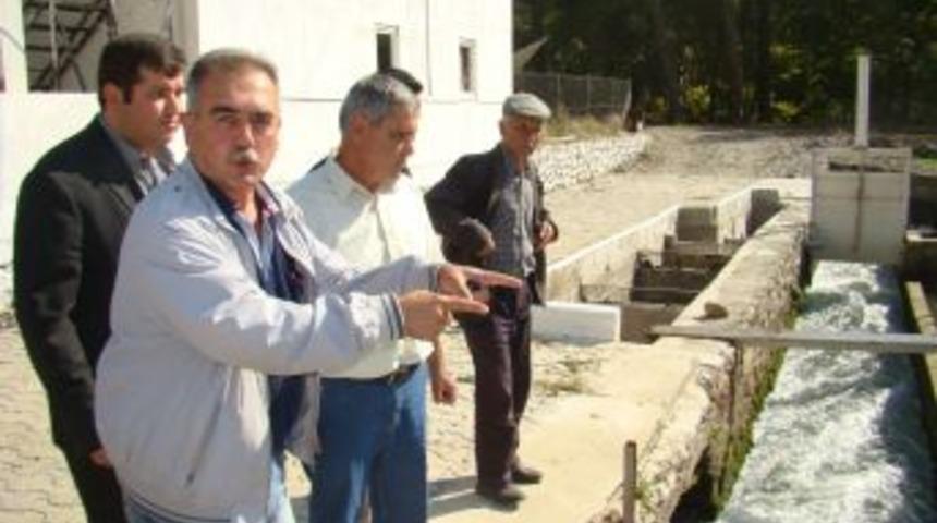 Fethiye&rsquo;deki balık &ccedil;iftliklerinin tarıma zarar verdiği iddia ediliyor