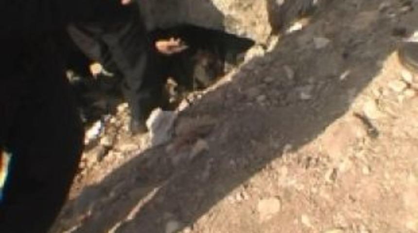 Bakın hırsız nereden &ccedil;ıkarıldı?