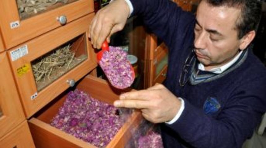 Havaların soğuması bitkisel ila&ccedil; satışlarını artırdı