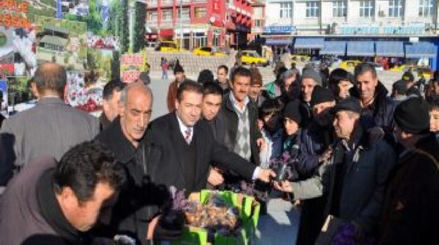 Yozgat 120 bin lale soğanı ile g&uuml;zelleşecek