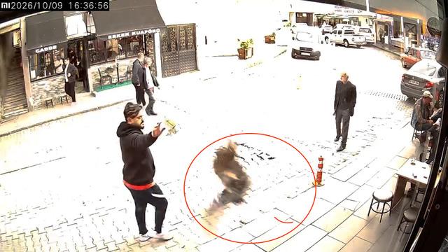 Atmaca berber dükkanına böyle daldı! 📹