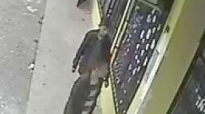 Papağan hırsızları yakalandı