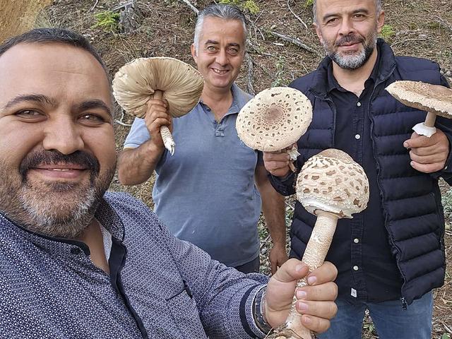 Doğada kendiliğinden yetişiyor: Yağışlardan sonra ortaya &ccedil;ıktı