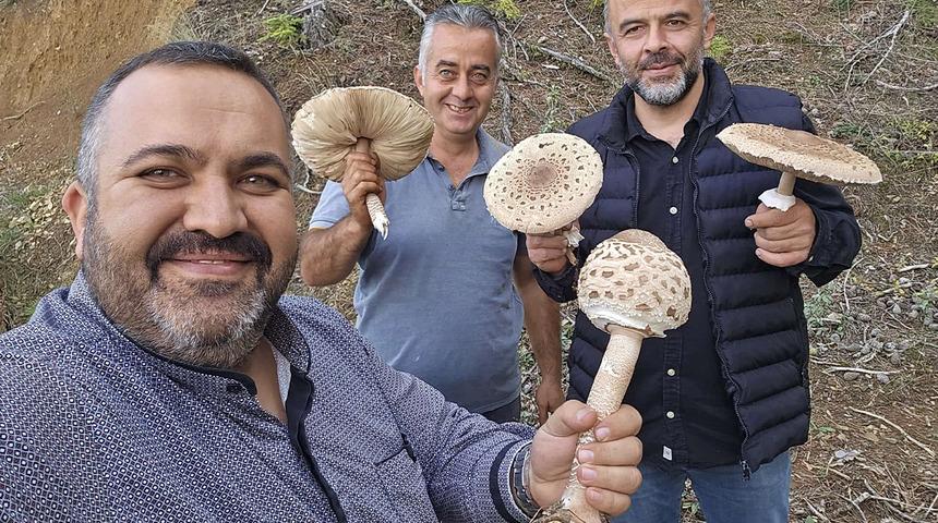 Doğada kendiliğinden yetişiyor: Yağışlardan sonra ortaya &ccedil;ıktı