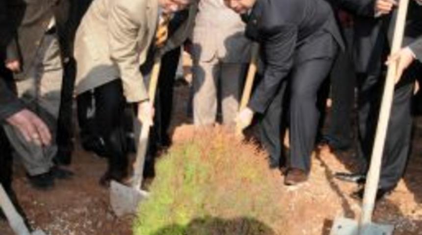 Şanlıurfa'yı yeşillendirmek i&ccedil;in 75 bin ağa&ccedil; dikilecek