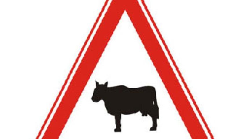 Levhadaki ineğin T&uuml;rk ineği olmadığı iddiası