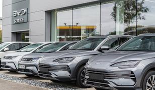 BYD'den yeni fabrika hamlesi! G&ouml;z&uuml;n&uuml; o b&ouml;lgeye dikti