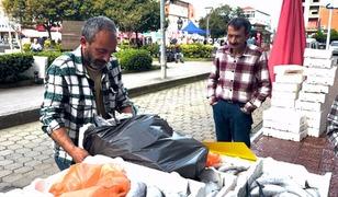 Rize'de palamut bolluğu! 3 tanesi 100 TL'ye satılıyor