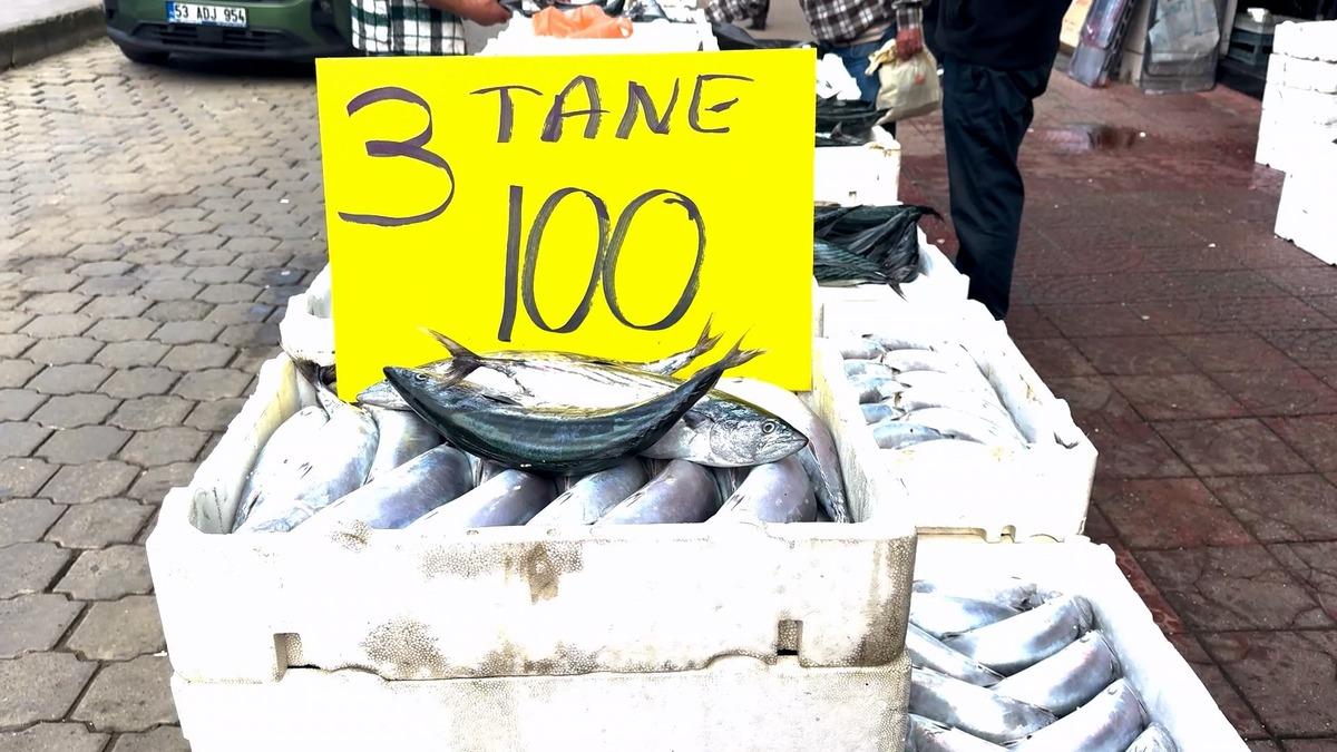 Rize de palamut bolluğu! 3 tanesi 100 TL ye satılıyor 2