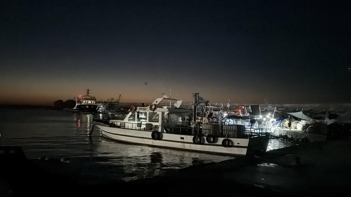 En &ccedil;ok o &ouml;ne &ccedil;ıkıyor! S&uuml;rekli yer değiştiriyor  Bir bakmışsın Sinop a gitmiş  2