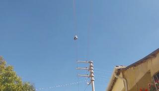Yıllardır elektrik telinde duruyor: Sırrı &ccedil;&ouml;z&uuml;lemedi
