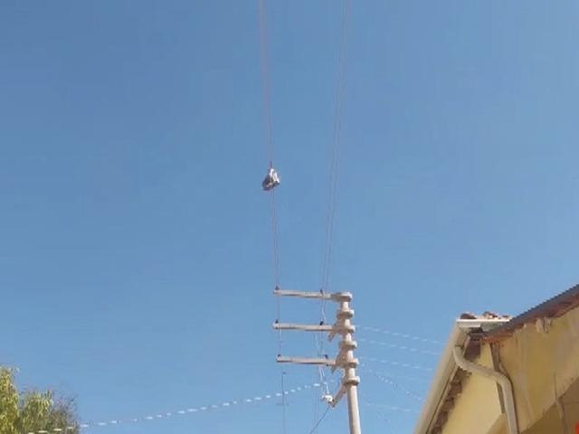 Yıllardır elektrik telinde duruyor: Sırrı &ccedil;&ouml;z&uuml;lemedi