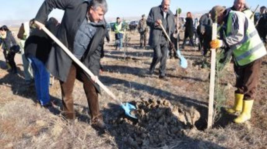 Akyurt'ta 30 bin fidan toprakla buluştu