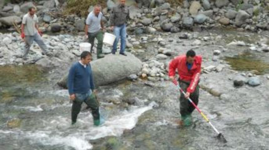 Doğu Karadeniz&rsquo;de derelerin envanteri &ccedil;ıkarılıyor