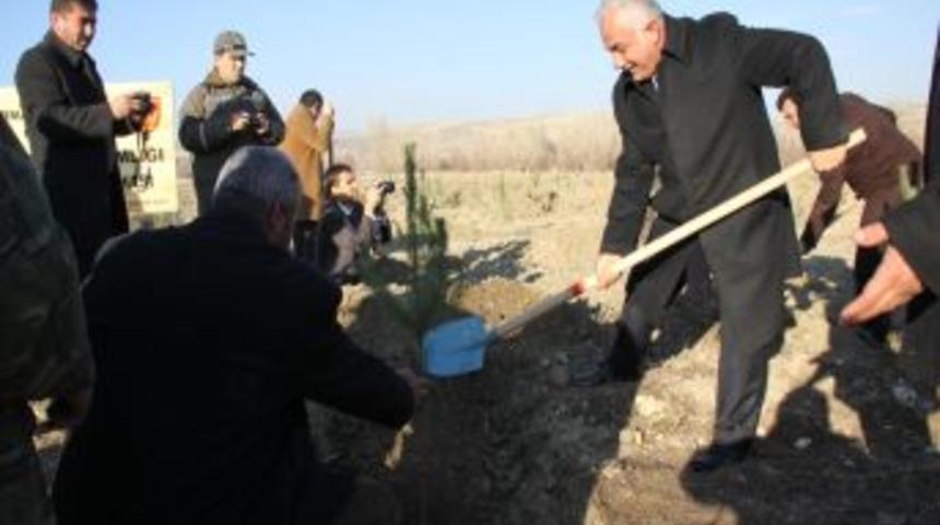 &Ccedil;ubuk&rsquo;ta bin 500 fidan toprakla buluştu