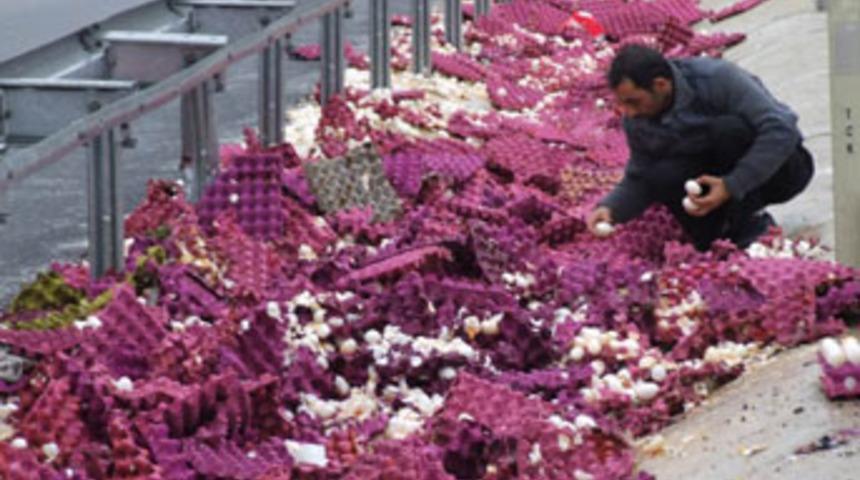 Can mı? Yumurta mı?