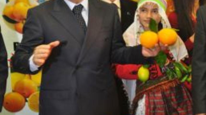 "Tarım arazilerinin mirasla b&ouml;l&uuml;nmesini &ouml;nleyecek d&uuml;zenleme bu d&ouml;nem &ccedil;ıkacak"