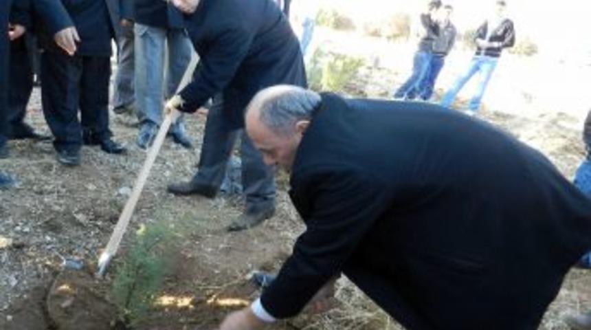 Nallıhan&rsquo;da 4 bin 500 fidan toprakla buluştu