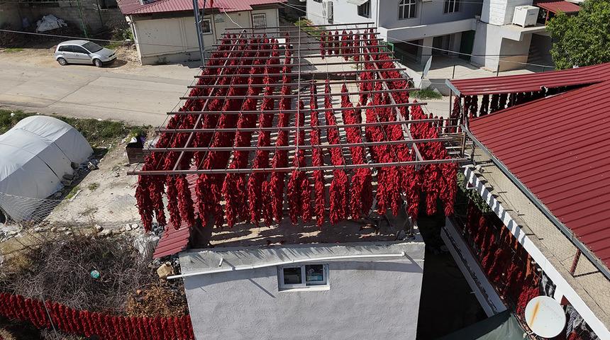 İpe dizip evlerin her yerine asıyorlar! Bir demetinin fiyatı bin TL'yi buluyor