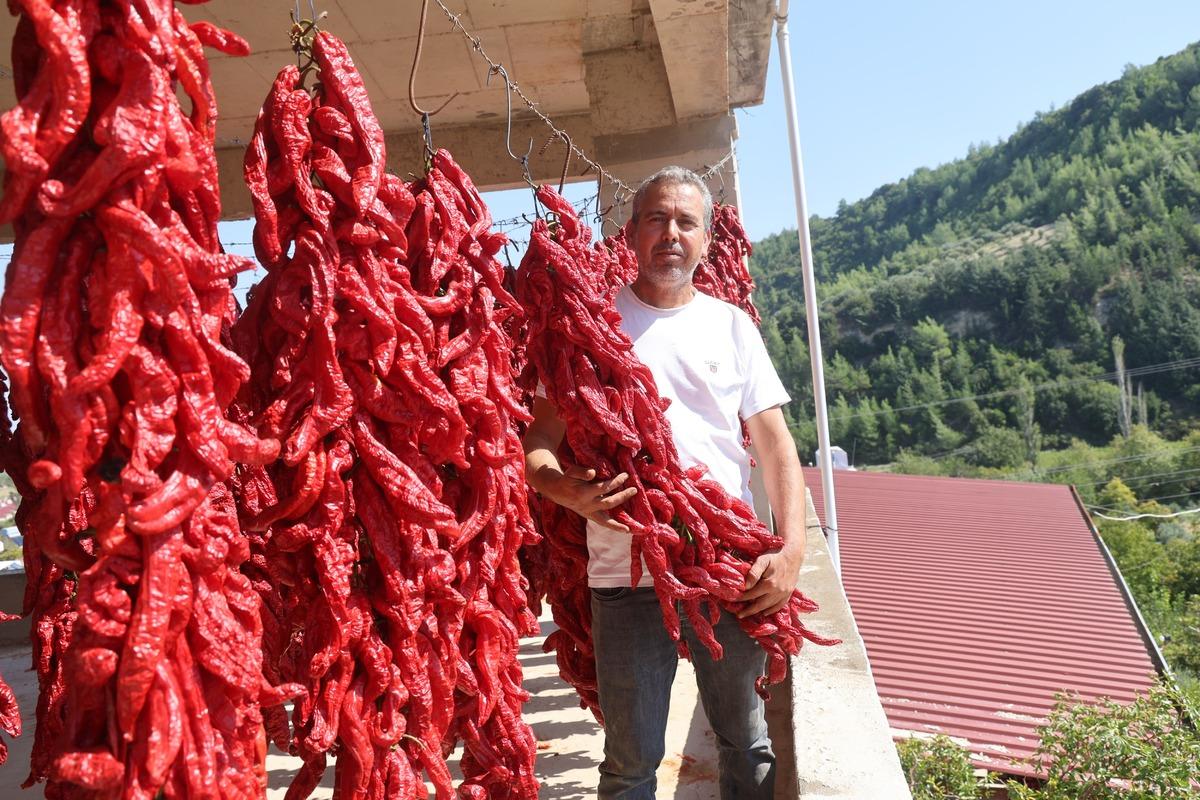 İpe dizip evlerin her yerine asıyorlar! Bir demetinin fiyatı bin TL yi buluyor 2