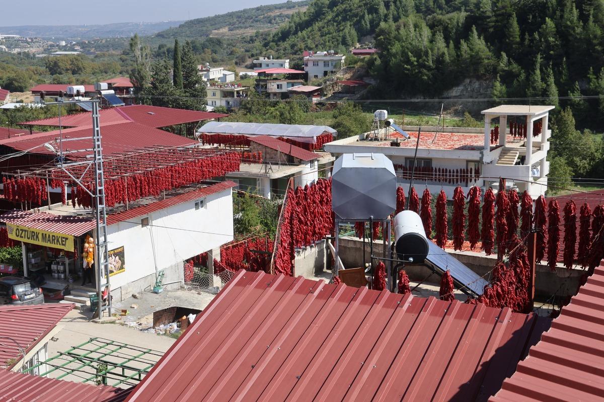 İpe dizip evlerin her yerine asıyorlar! Bir demetinin fiyatı bin TL yi buluyor 4
