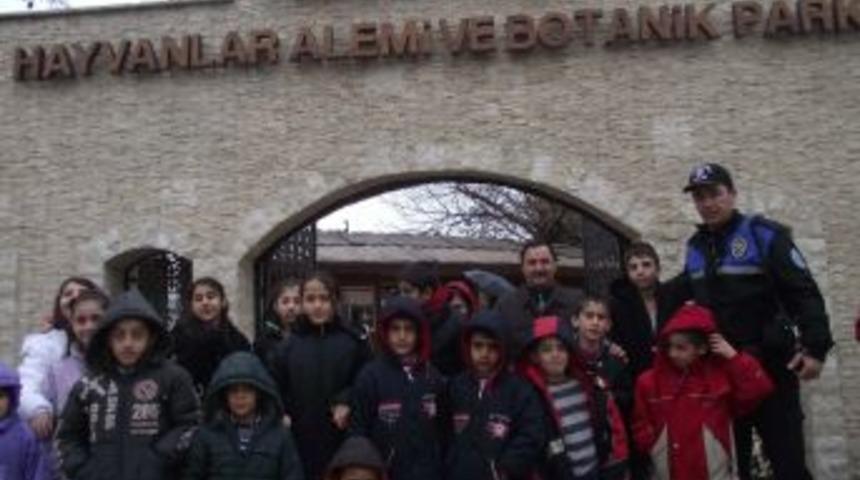 Depremzede &ouml;ğrenciler, Darıca Hayvanat Bah&ccedil;esi'ni gezdi