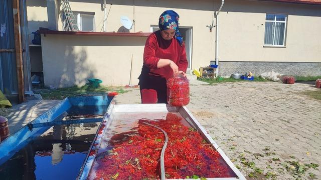 Dalından toplandıktan sonra 3 ay mahzenlerde bekletiliyor! 8 kilosu bin TL'den satılıyor