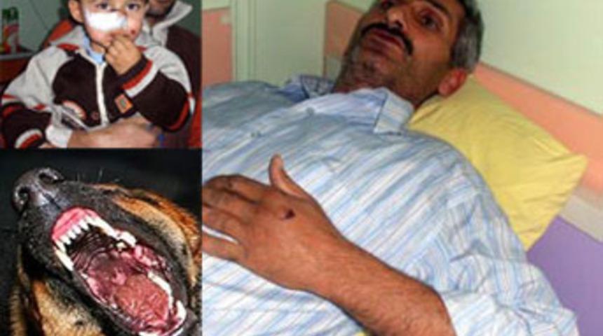 K&ouml;peği k&ouml;peğe boğdurtarak &ouml;ld&uuml;rd&uuml;ler!