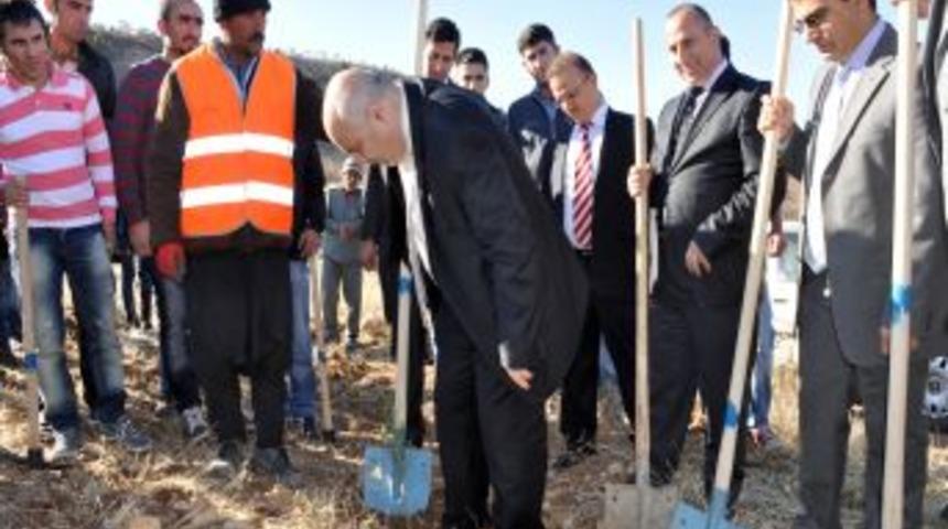 "&Uuml;niversitede, senin de bir ağacın olsun" kampanyası