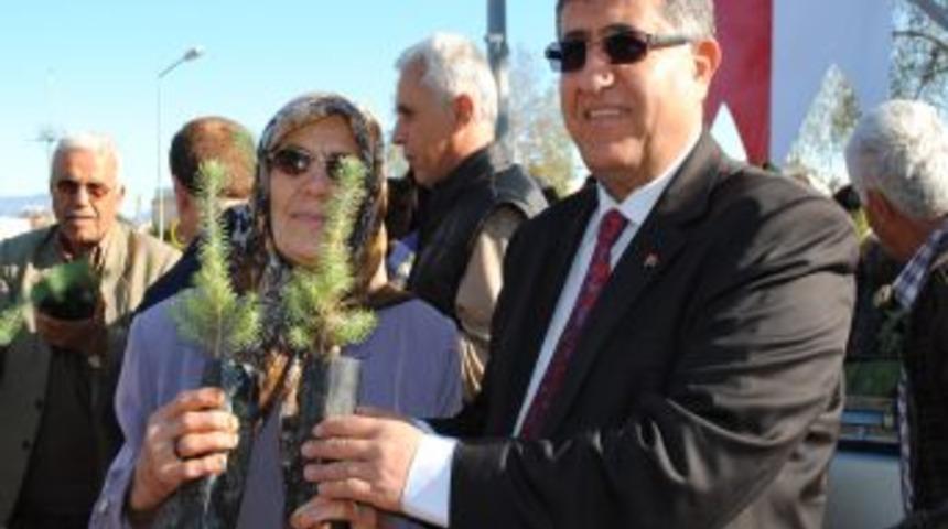 Manavgat'ta yılbaşı &ouml;ncesi 10 bin fidan dağıtıldı